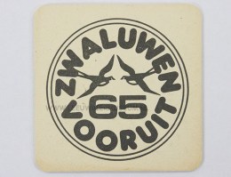 leeuw bier vilt B21 achter